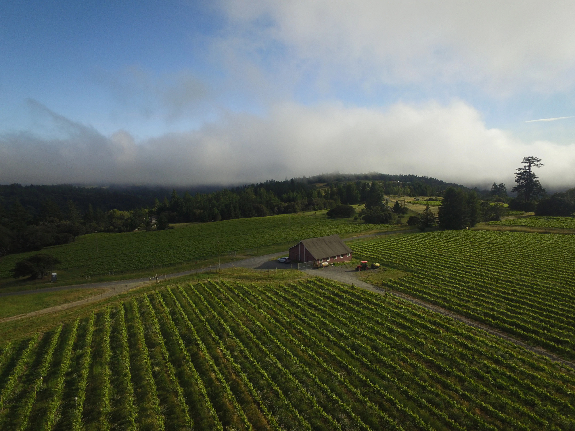 Seascape Vineyard Pinot Noir